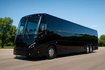 Lake Havasu City Ada Buses